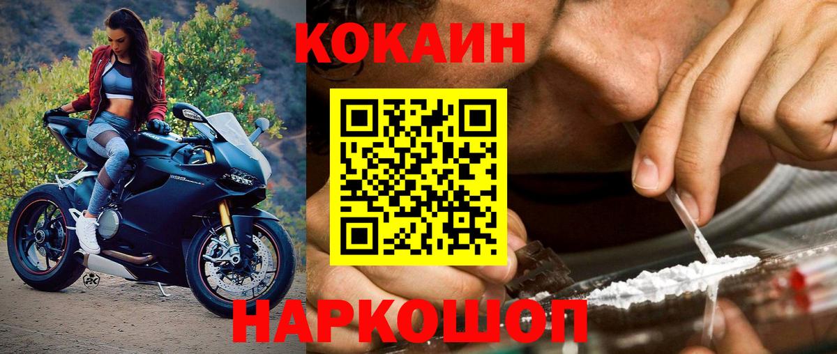 COCAIN Columbia Сокол
