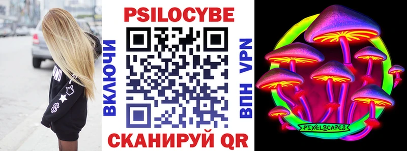 Псилоцибиновые грибы прущие грибы  Сокол 