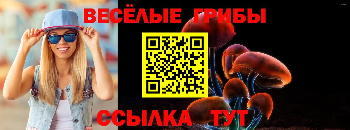 Псилоцибиновые грибы мицелий  Псилоцибиновые грибы Psilocybe  Вход с VPN  Сокол 