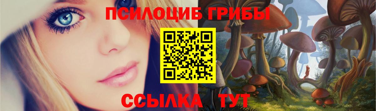 Галлюциногенные грибы ЛСД Сокол