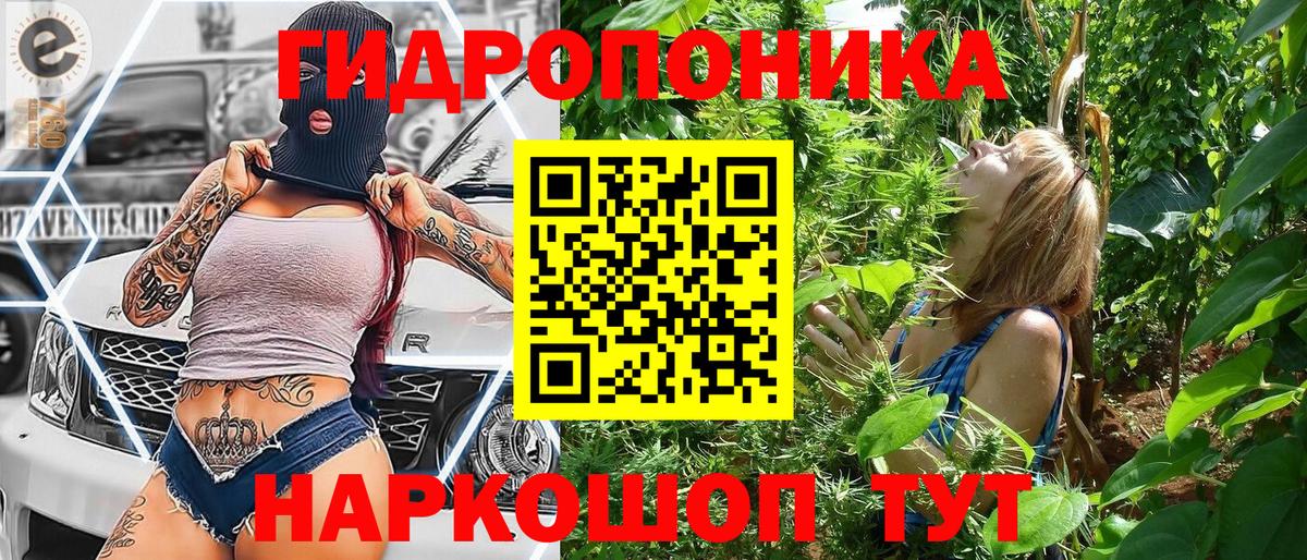 МАРИХУАНА конопля  Вход с VPN  Бошки Шишки индика  Сокол 